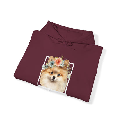 Sassy Classy Pomeranian Hoody