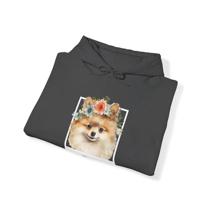 Sassy Classy Pomeranian Hoody