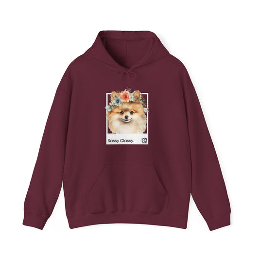 Sassy Classy Pomeranian Hoody