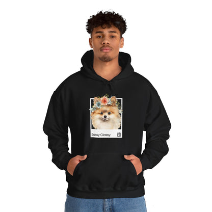 Sassy Classy Pomeranian Hoody